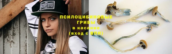 мдма Михайловск