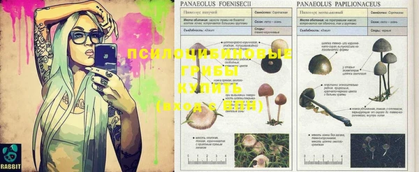 MDMA Михайловка