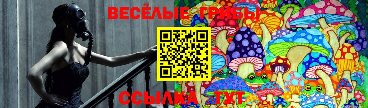 Псилоцибиновые грибы мицелий  Вход с VPN  Дюртюли 