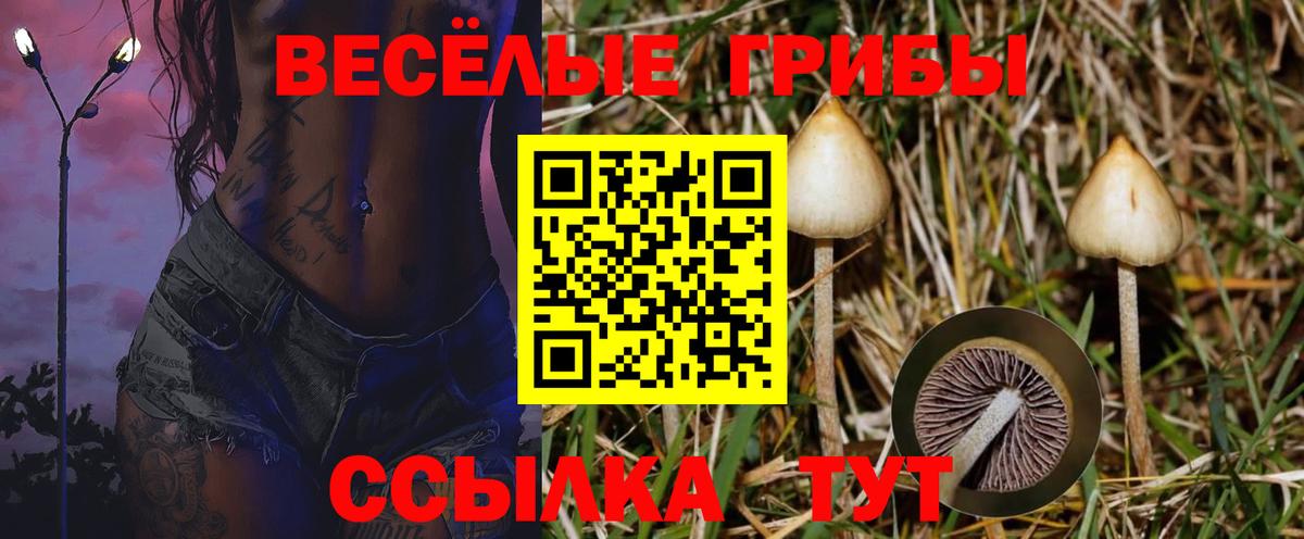 Галлюциногенные грибы Cubensis Дюртюли